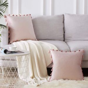 2 tassel throw pillows